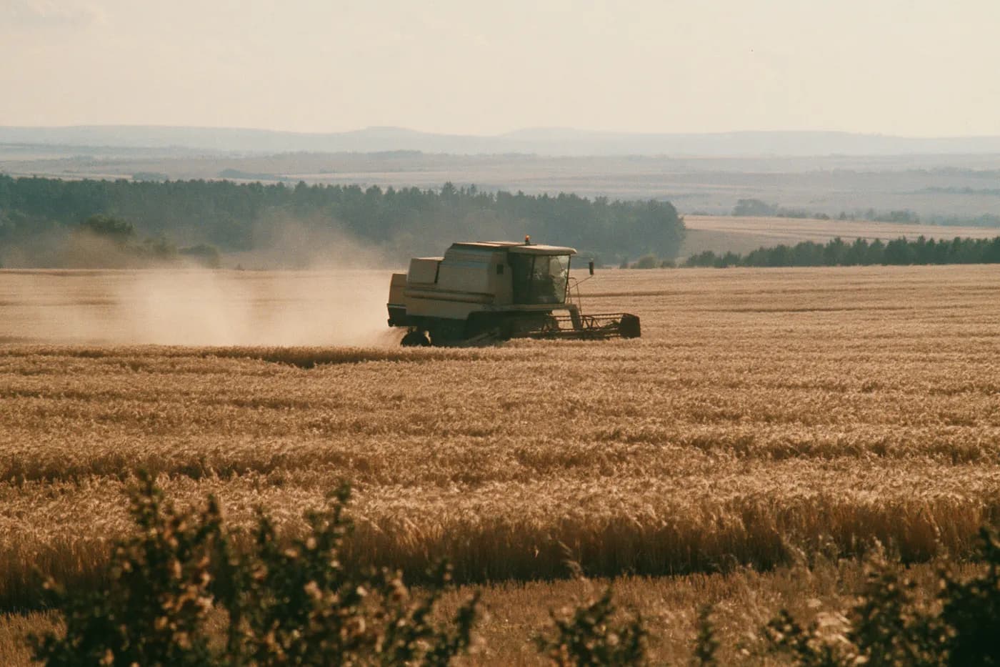 Agriculture & Food