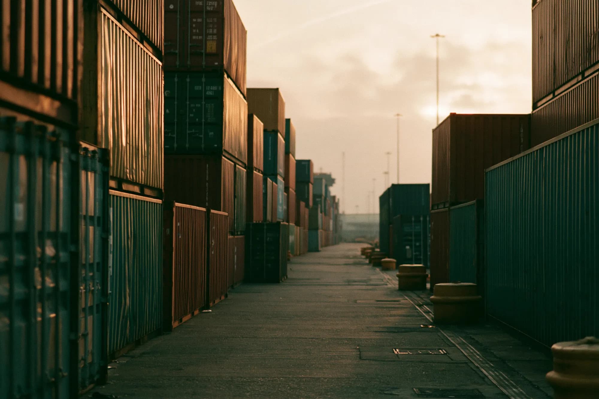 Import & Export Managers